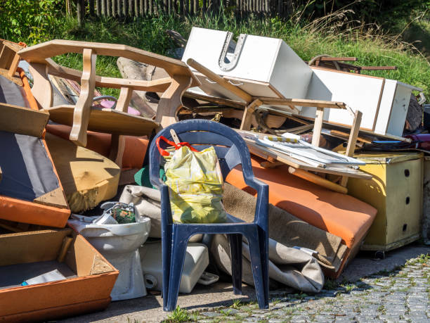 Professional Junk Removal  in Dixon, CA